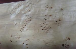China Flat Burled Wood Veneer Sliced Cut , Constructional Ash Burl Veneer factory