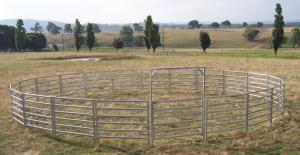 China Livestock Panels 6 Oval Bar Low Hog Wire Fencing Cattle Galvanized Livestock Fence Panels factory