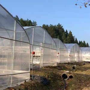 Galvanized Steel Structure PE Plastic Tunnel Greenhouse Polyethylene Film