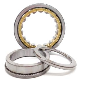 China ODM Chrome Steel Sealed Cylindrical Roller Bearing NU1018 90x140x24mm factory