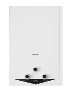 China Flue Type Instant Tankless Gas Water Heater 6L-12L For Shower factory