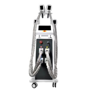 China EMS Fat Freeze Cryolipolysis Slimming Machine 800W OEM factory