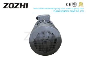 China IP54 3KW IE3 Motor Cast Iron Body Material 2890Rpm Speed 2 Poles IE3-100L-2 factory