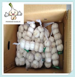 China Shandong Normal White Garlic---garlic factory ,Jinxiang Origin ,Top Quallity factory