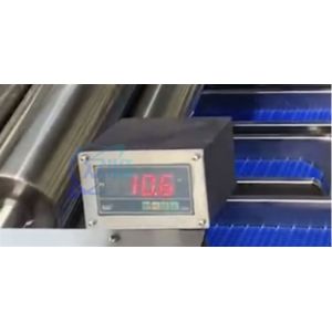 High Speed Live Fish Roller Grader With 12pcs Live Fish Roller Sorting Line