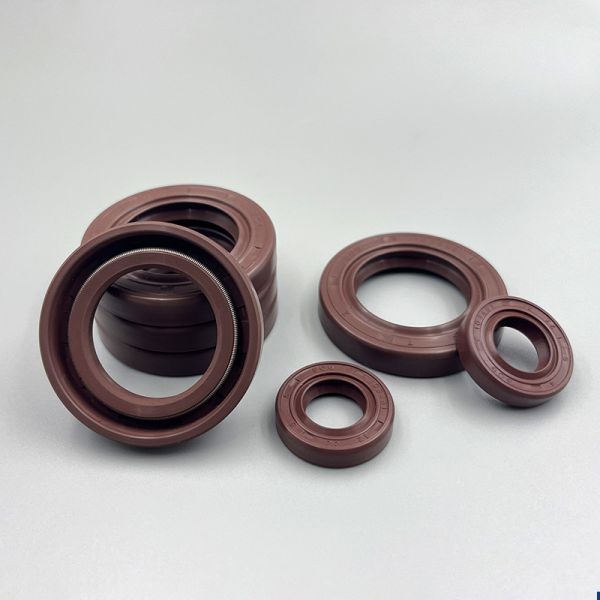 TC Skeleton Oil Seal 1