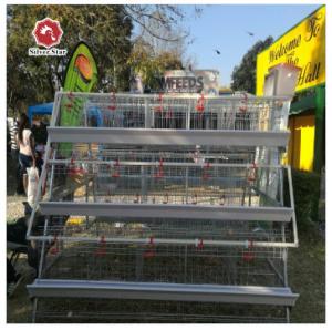 China Long Time Use A Type Farm Chicken Battery Cages For Layers factory