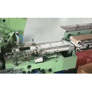 Packet Wrapping Machine Wrapper Pack Carton Box Packaging Packer
