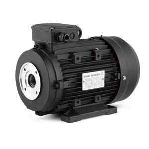 China Washer Hollow Shaft Electric Motor with ≥IE2 Efficiency and IMB3/IMB5 Mounting Type factory