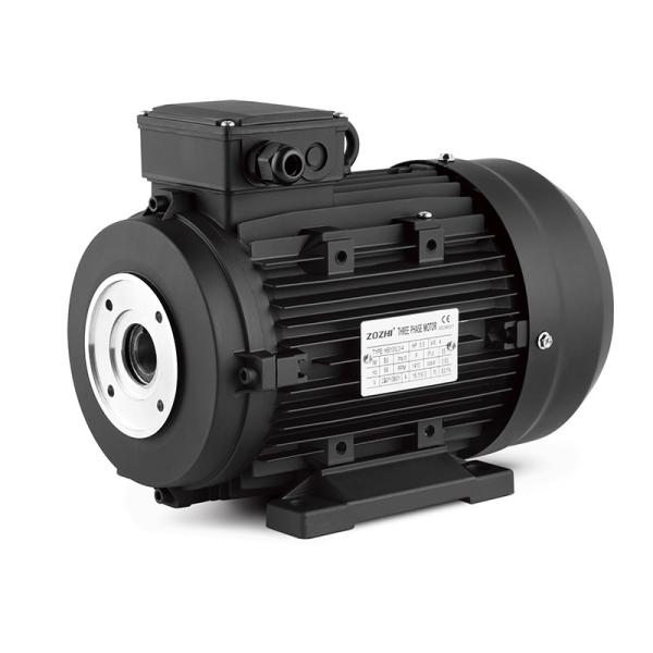 IE1 IE2 IE3 AC Asynchronous Induction Hollow Shaft Electric Motor For Pressure