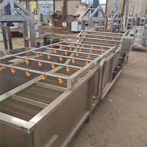 China pea washing machine, pea blanching machine, pea cleaning machine factory