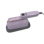 NO App-Controlled 220V Mini Professional Steam Iron for Travel and Garment