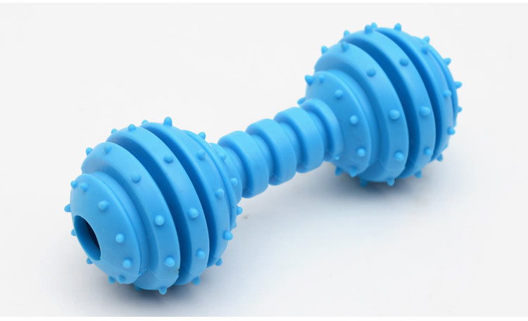 Colorful Bone Shape TPR Pet Dog Toy Suitable for All Seasons Barbell Dog Chew Toy