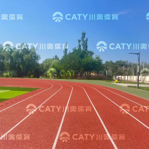 High-Performance Prefabricated Running Track EPDM Rubber Granule Spray Coating