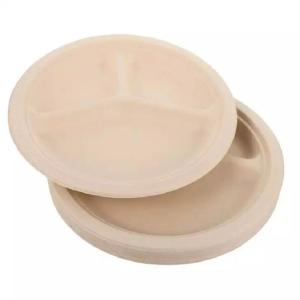 China 9 10inch Compostable Sugarcane Plates Degradable White Heavy Duty Paper Plates factory