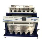 5chutes rice color sorter, god at sorting milky, discolor and yellow rices,color