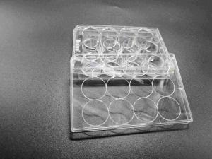 China Tissue Culture Treatment 12 Well Plate Standard Packing Cell Culture Consumables factory