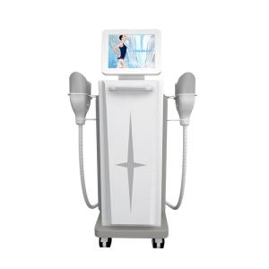China 10kpa 360 Degree Cryolipolysis Fat Freezing Machine Professional factory