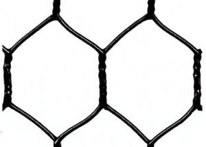 China 25mm Green Black Vinyl Coated Chicken Wire Fencing 1in 20 Gauge Poultry Netting factory