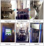 NJP 3500C Low Noise Automatic Capsule Filling Machine For Pharmaceutical