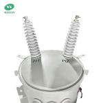 100KVA Single Phase Pole-Mounted Distribution Transformer Oil Immersed 34.5KV