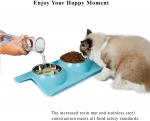 Double Dog Cat Stainless Steel Pet Bowls No Spill Resin Station