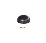 22'' SCHSTD A234 WPB CAP