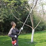 China Gasoline Long Reach Chainsaw 25.4cc Petrol Pole Saw Hedge Trimmer