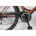 Puncture Resistant Disc Brake Lightweight Platform City Bike 6 Speed For 160