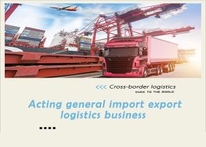 China Speedy International Sea Freight Forwarding China to Oslo Klaipeda Helsinki Riga Dublin factory