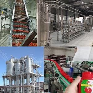 China Food Grade 304SUS Tomato Production Line Customized 100T/D factory