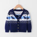 New Autumn Winter Children clothing Sweater Round Neck kids clothes Knit