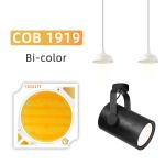 19x19MM COB LED Chip 2800K/6500K Adjustable CCT 18W 25W Ra90 for Photography