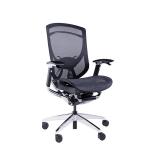 Wintex Mesh Back Ergonomic Chair 21.50KGS Ergonomic Executive Desk Chair