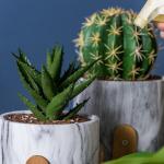 Round Pot Planters Mini Flowerpots Clay Flower Pots Cement Succulents Planters