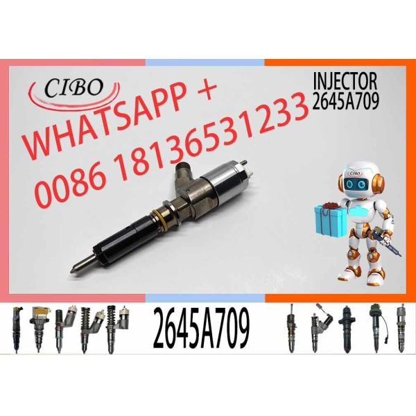 2820490 Common Rail Fuel Injector 2645A709 282-0490 Excavator For C6.6 Engine