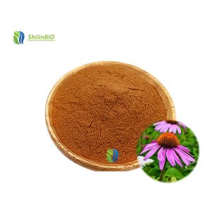China Echinacea Purpurea Extract Powder 1%-4% Cichoric Acid on sale