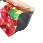 custom printed self standing plastic snack food moisture resistant dried fruit