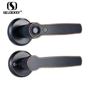 China Fingerprint Bedroom Smart Electronic IP55 Keyless Door Locks factory