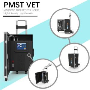 China EMTT Shockwave Therapy Machine 4 Tesla Veterinary Device For Horse Muscle Stimulation factory