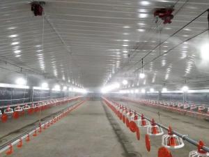 China Galvanized Prefabricated Steel Structure Poultry House Chicken House Coop Fireproof factory