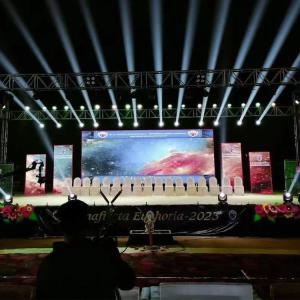 China HDMI/DVI/VGA Stage LED Screen Rental 500*500MM/500*1000MM For Event factory