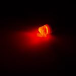 Car LED Light Bulbs For Home / Door Courtesy / Parking Lights Automotive