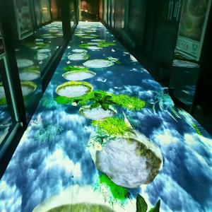 China 3D Immersive Room Holographic Floor Interactive Projection For Tourist Project factory