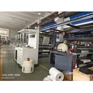 2500mm Length Automatic Flexo Printing Machine Highly Precise Energy Saving