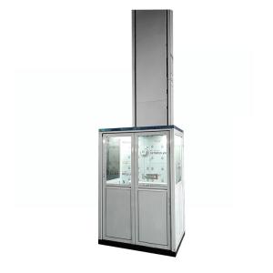 China 2 Person Wheelchair Platform Lift 4m Indoor Or Outdoor Handicap Lifts For Home factory