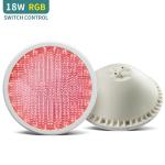 RGB Color Switch Control 18W IP68 Par56 Pool Light ABS