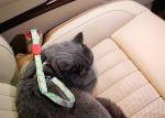 Nylon Extra Long Crash Tested Dog Car Seat Belt Harness Leash