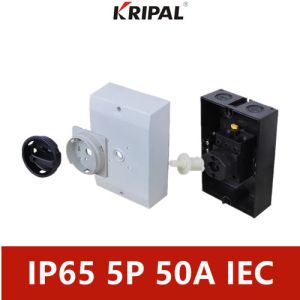 CE Approval IP65 Isolator Switch 4 Pole 32A 40A 50A 63A With Enclosure