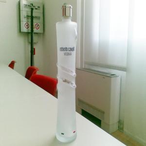 China 330mm High Roberto Cavalli Vodka Bottle Vacuum Metallization Coating factory